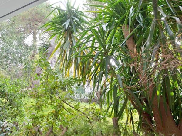 Vouliagmeni'S Secret Garden Near The Sea Διαμέρισμα Αθήνα Εξωτερικό φωτογραφία