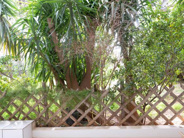 Vouliagmeni'S Secret Garden Near The Sea Διαμέρισμα Αθήνα Εξωτερικό φωτογραφία